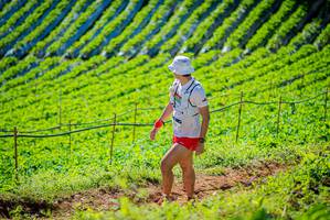 BIB: 
                            <button type="button" onclick="openModal(19161596)" class="btn btn-primary btn-sm float-right btn-popup" data-toggle="modal" data-target=".modal-high-quality">
                        <i class="fas fa-shopping-cart"></i> Add to Cart
                    </button>
                                            <button type="button" onclick="isThisMe(19161596, true)" class="btn btn-success btn-sm float-right btn-popup btn-isme hidden" data-toggle="tooltip" data-placement="bottom" title="นี่คือรูปของคุณใช่ไหม คลิกที่นี่เพื่อเอาเข้าอัลบั้ม">
                        <i class="fas fa-plus"></i> Add to album
                    </button>
                    <button type="button" onclick="isThisMe(19161596, false)" class="btn btn-warning btn-sm float-right btn-popup btn-isnotme hidden">
                        <i class="fas fa-ban"></i> Remove from album
                    </button>